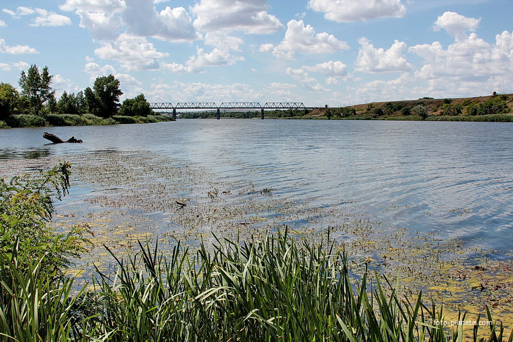 река Северский Донец и слева впадает река Калитва