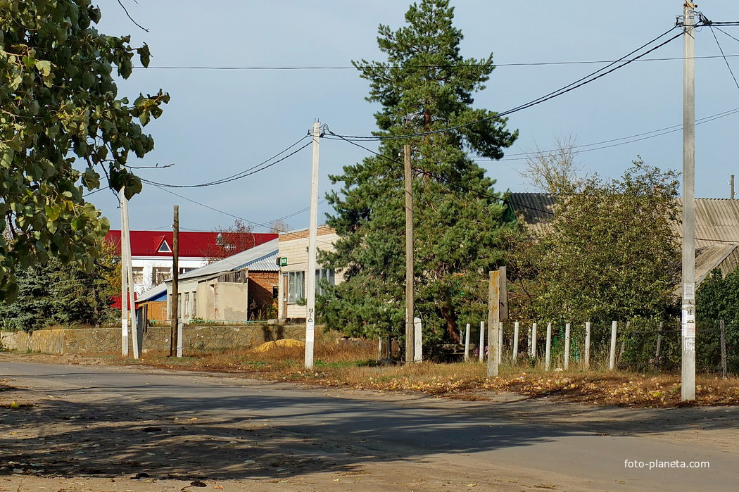 центральая улица