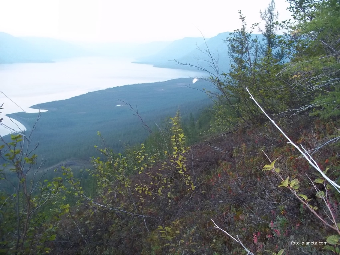 развилка &quot;штанов&quot;