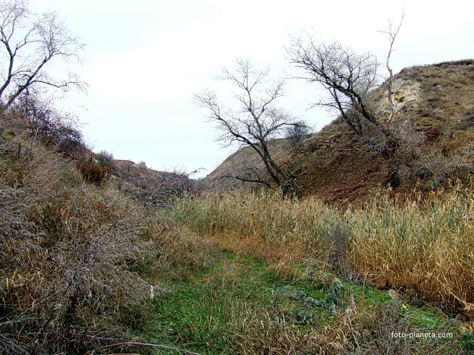 Декабрь на обрыве Цимлянского моря у станицы Хорошевской
