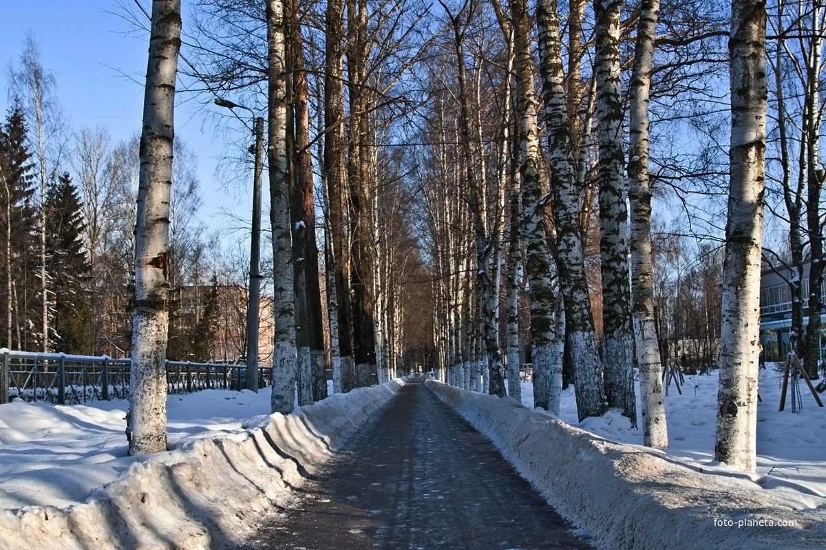 На улице Центральной