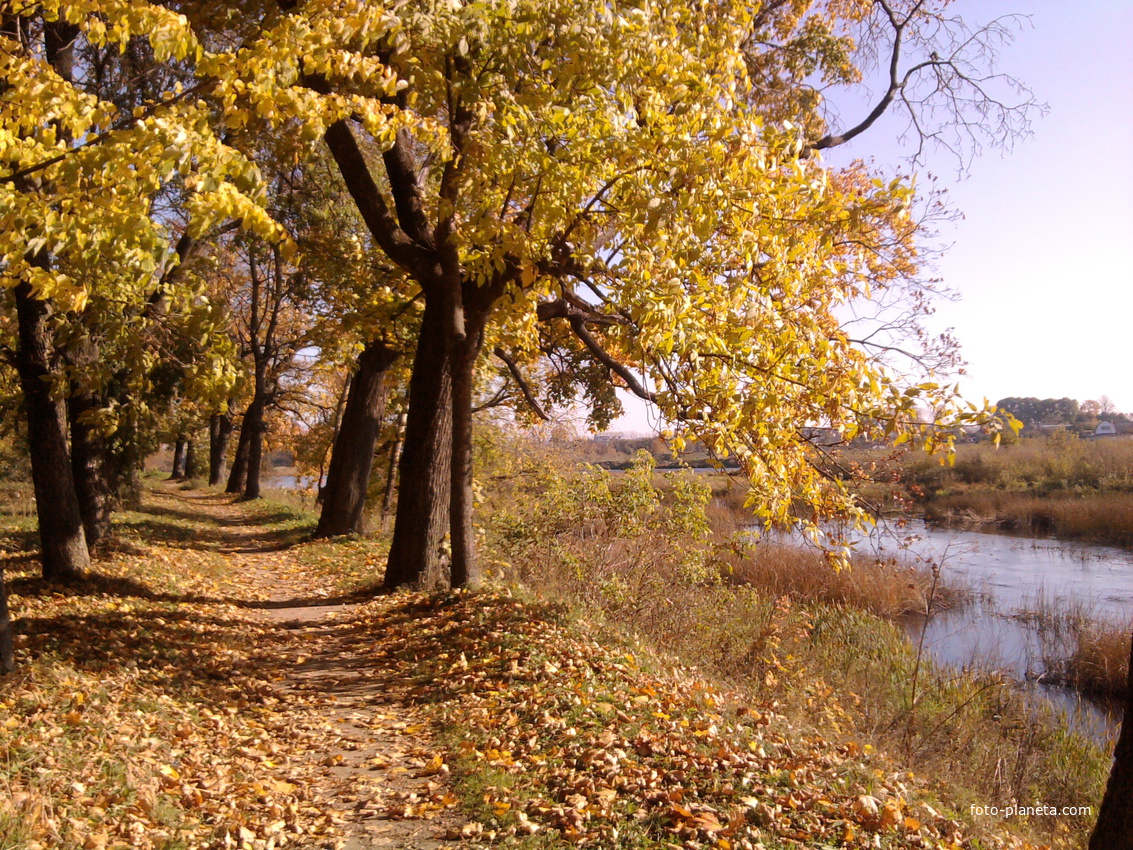 Осенью в парке на берегу р. Великой