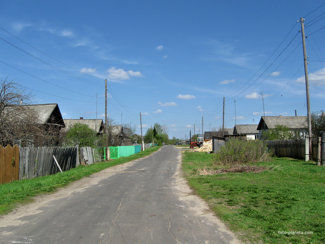 с. Пелегово (весна) ул. Молдёжная