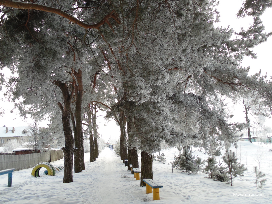 зима в Комсомольском парке