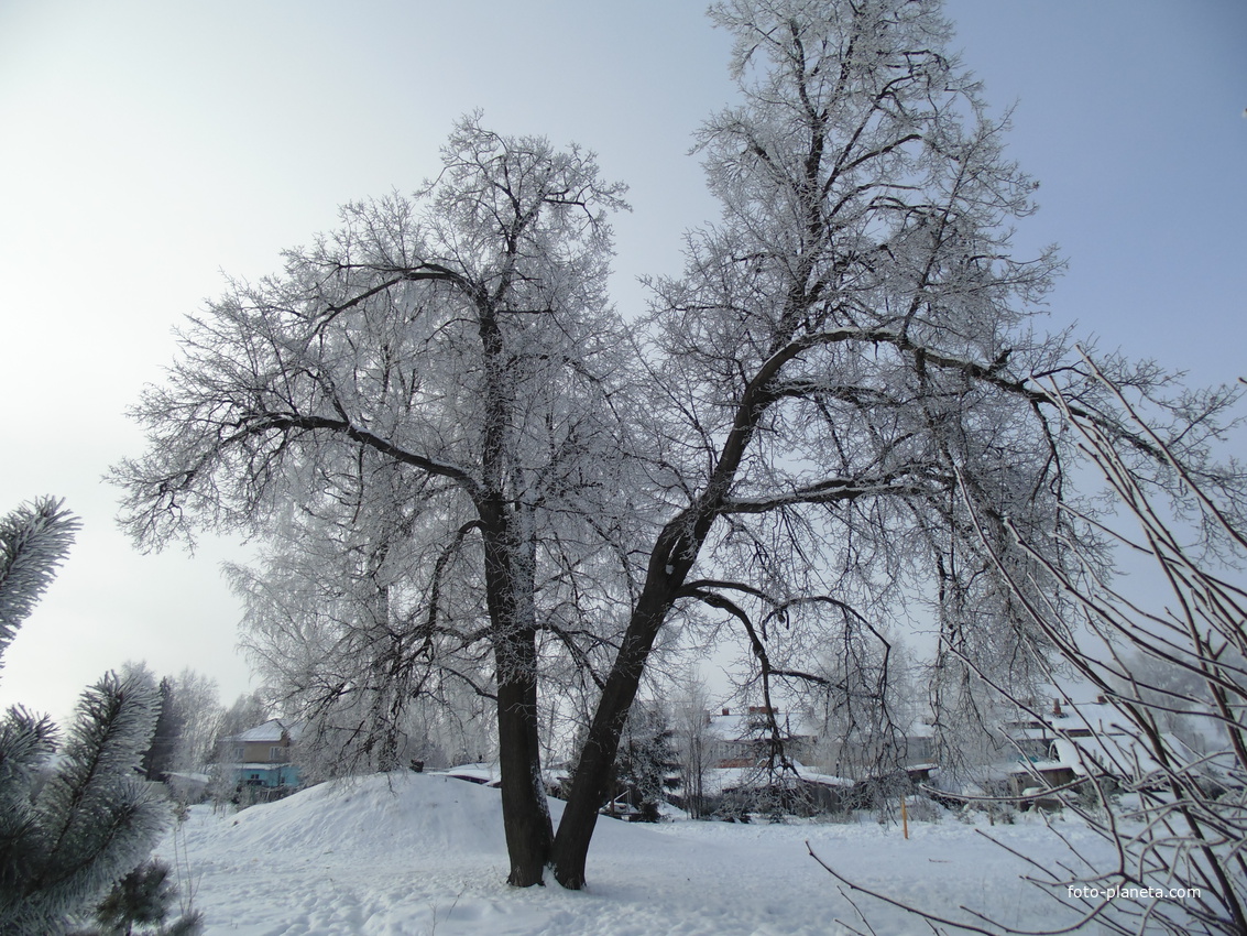 зима в Комсомольском парке