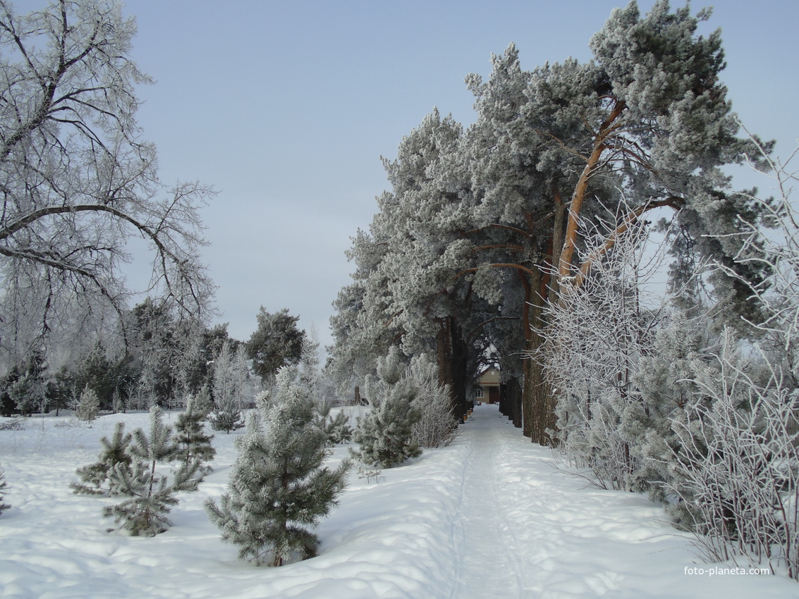 зима в Комсомольском парке