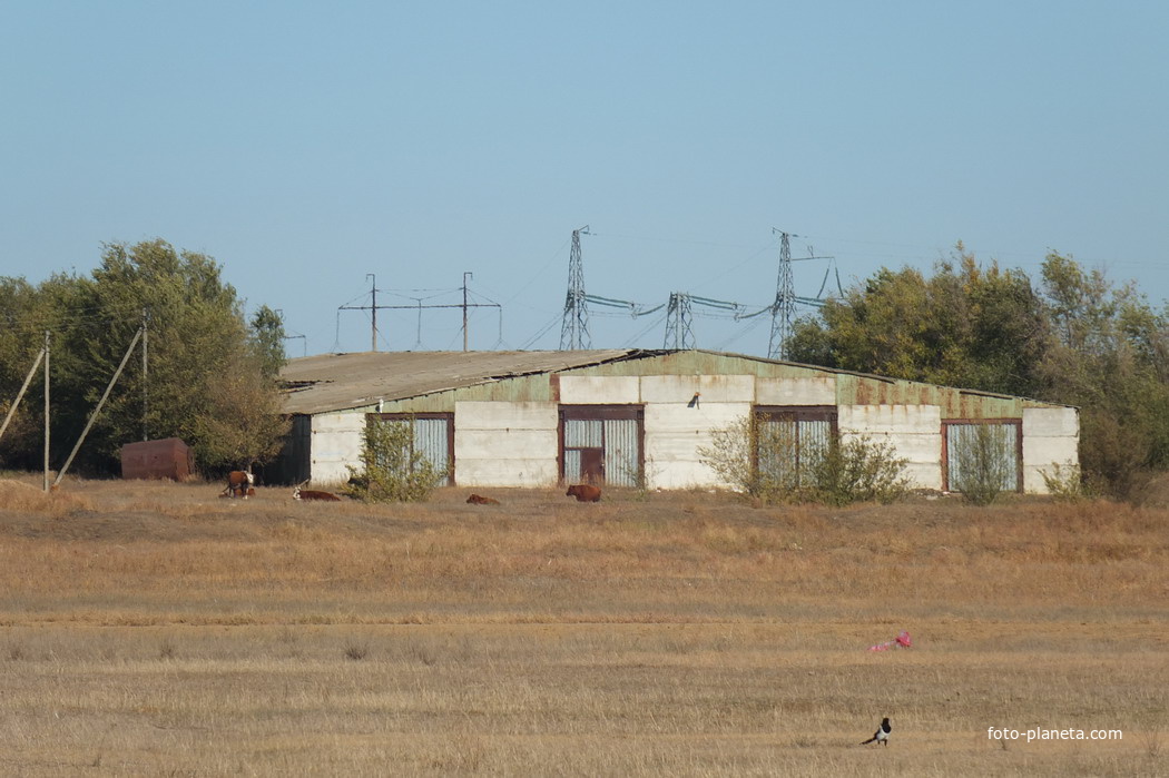 Зерноскалады недалеко от хутора