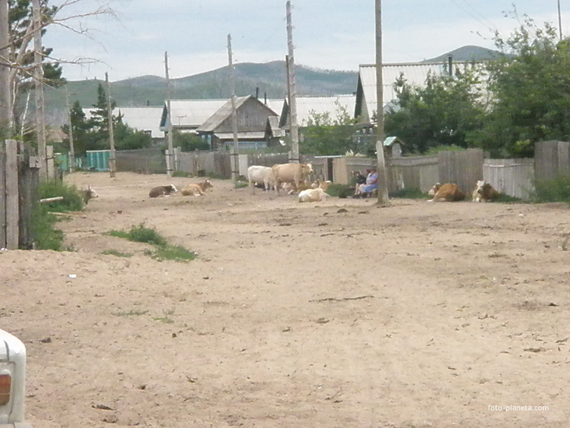 Новая заря забайкальский край. Село Куранжа Ононский район. Халтуй Забайкальский край. Куранжа Забайкалье. Село Куранжа Забайкальский край.