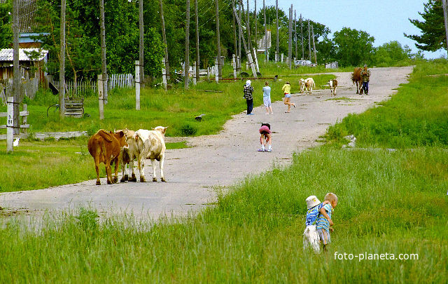 с. Михайловка