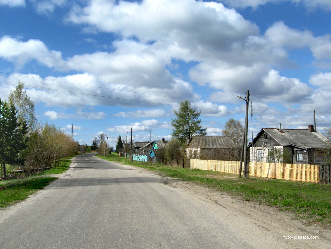 с. Пелегово  ул. Школьная