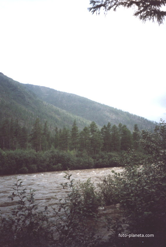Река Хани, окрестности одноимённого посёлка
