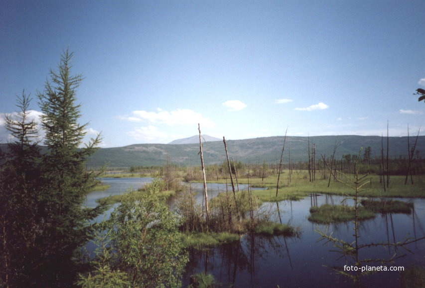 Окрестности Новой Чары