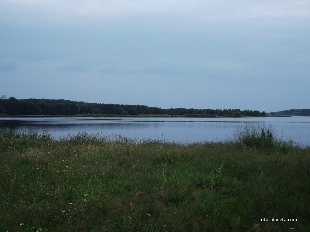 Озеро (залив Мухавца) возле Шебрина