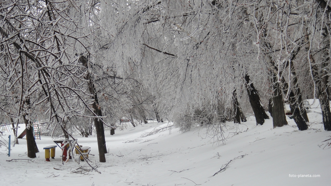 Ледяная зима - 2010