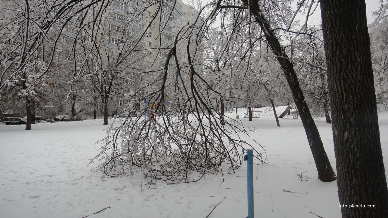 Сквер в Бирюлево (2010)