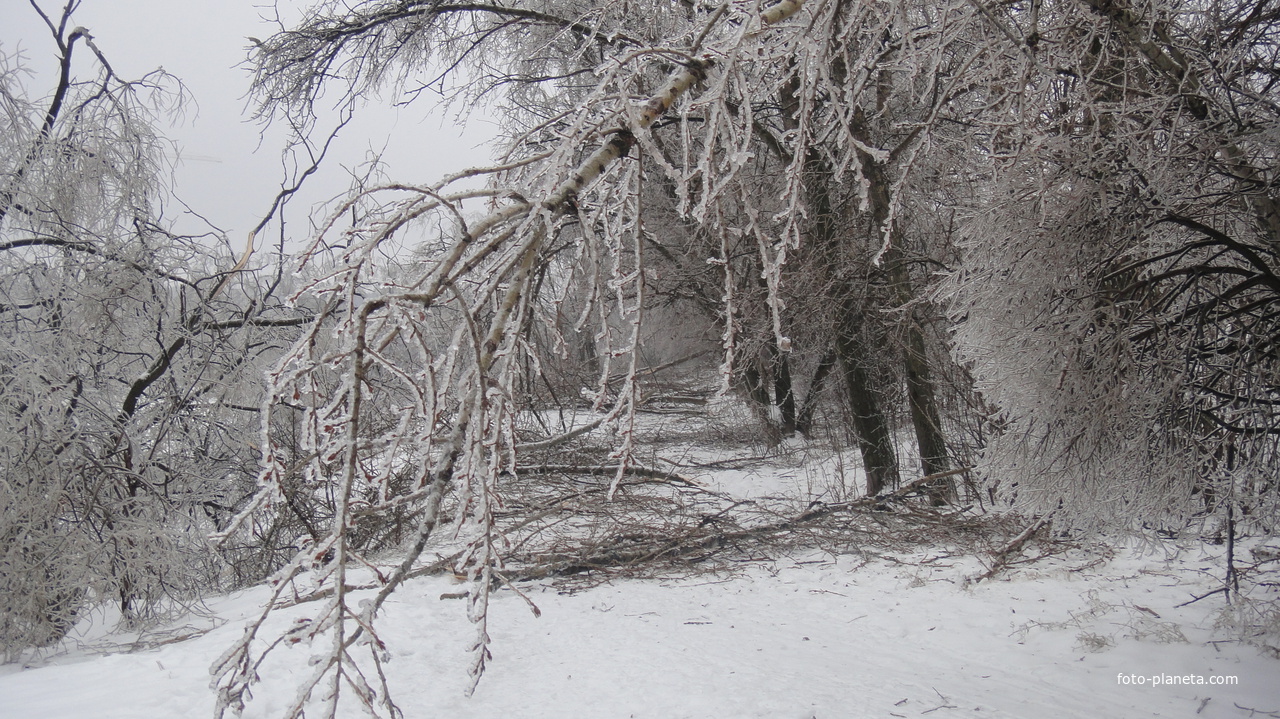 У Загорьевских прудов (2010)