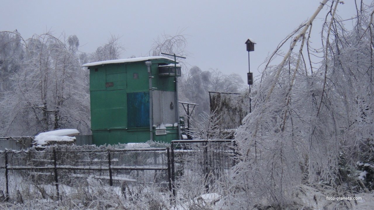 Голубвятня у прудов