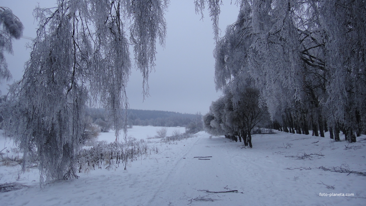 Загорьевские пруды (2010)