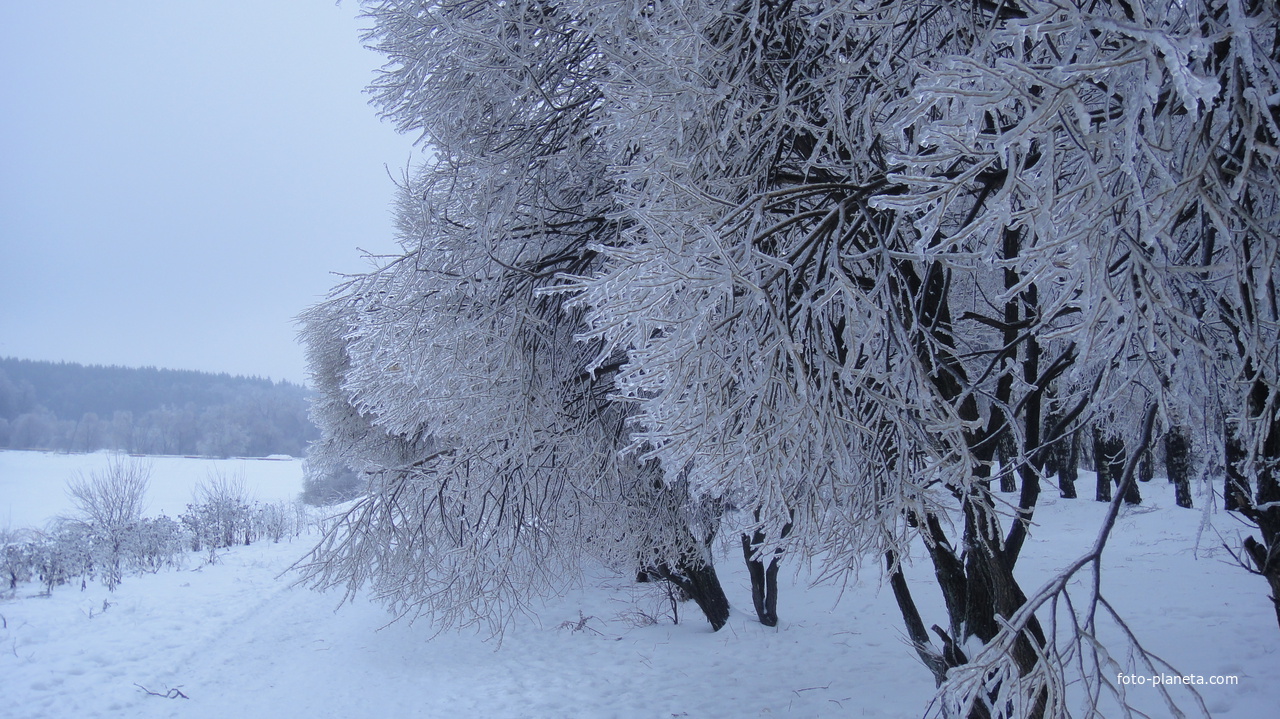 Загорьевские пруды (2010)