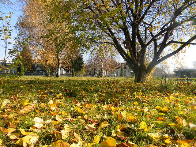осінь у Мотовилівці