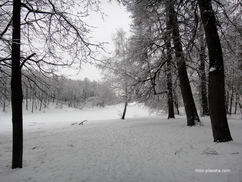 Зимой в Герценском парке