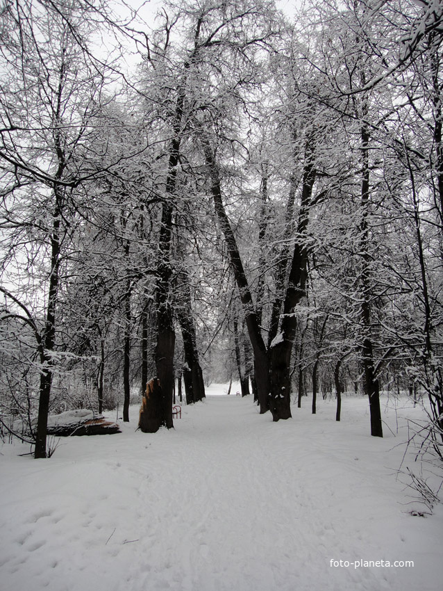 Старая аллея