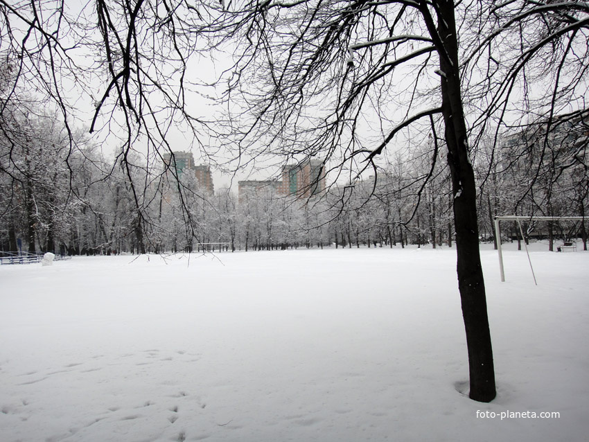 Футбольное поле