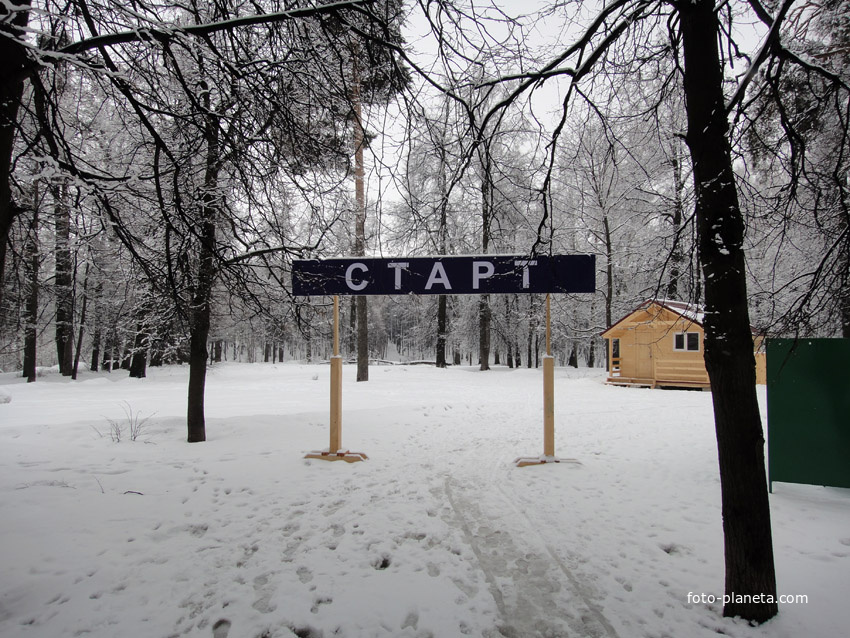 Зимняя лыжня