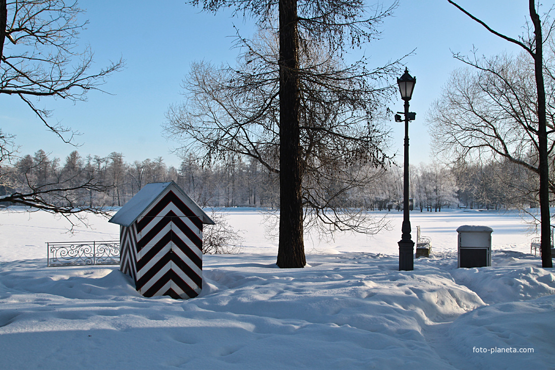 Екатерининский парк. На Большом острове зимой.