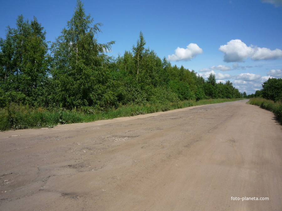 Ухабистая дорога на участке Петрилово – развилка