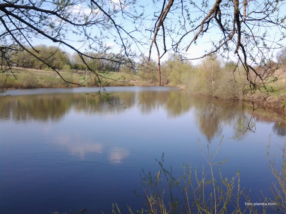 Пруд Птичник