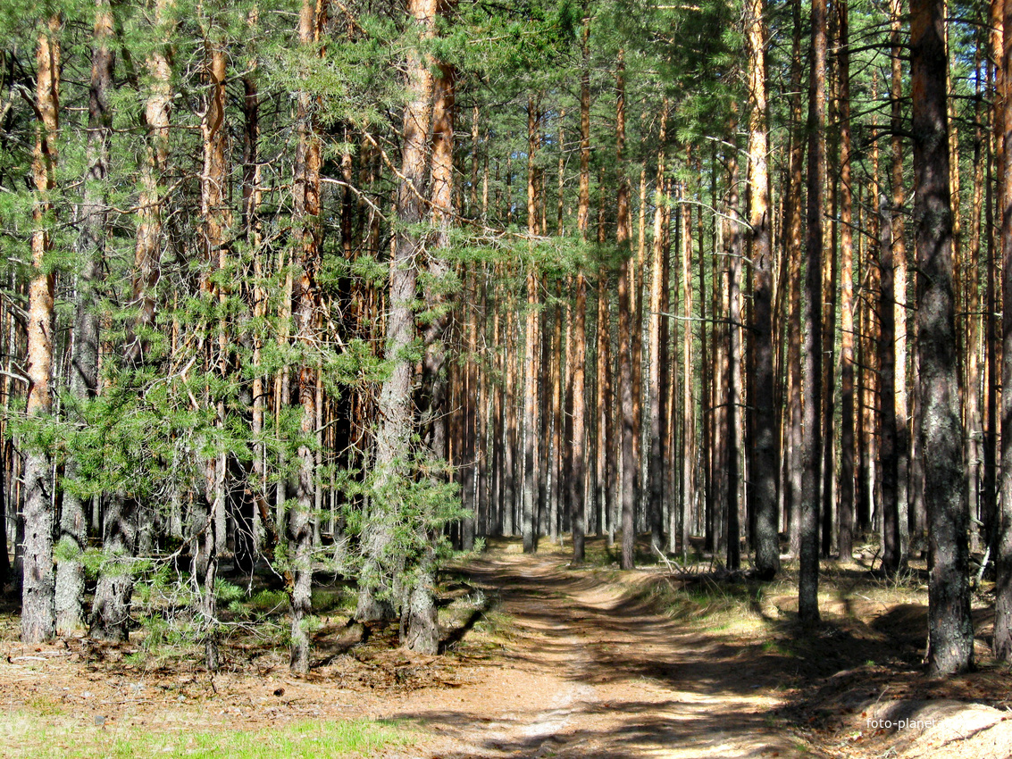 с. Пелегово (заповедник)