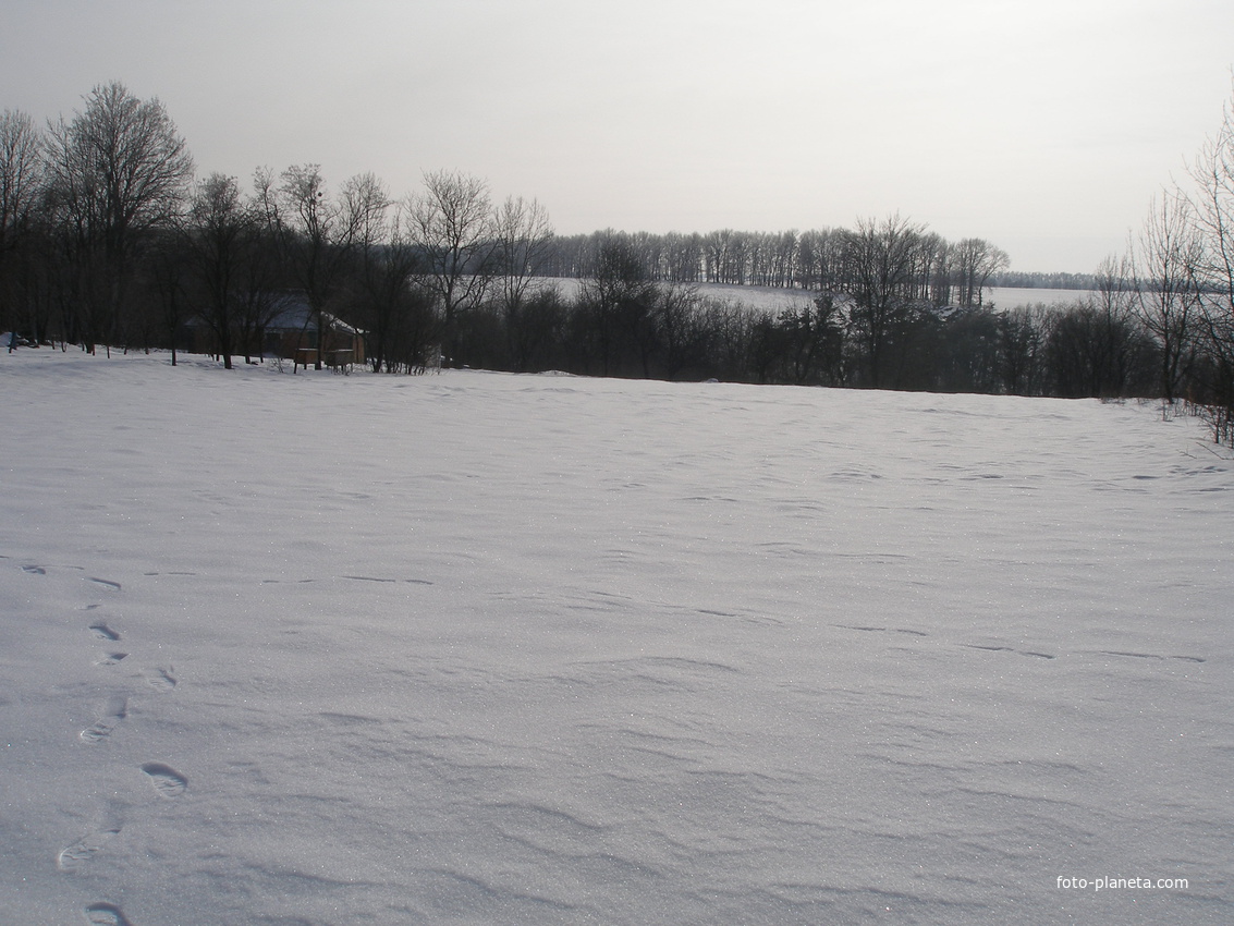 с.Байраковка Дубовая посадка