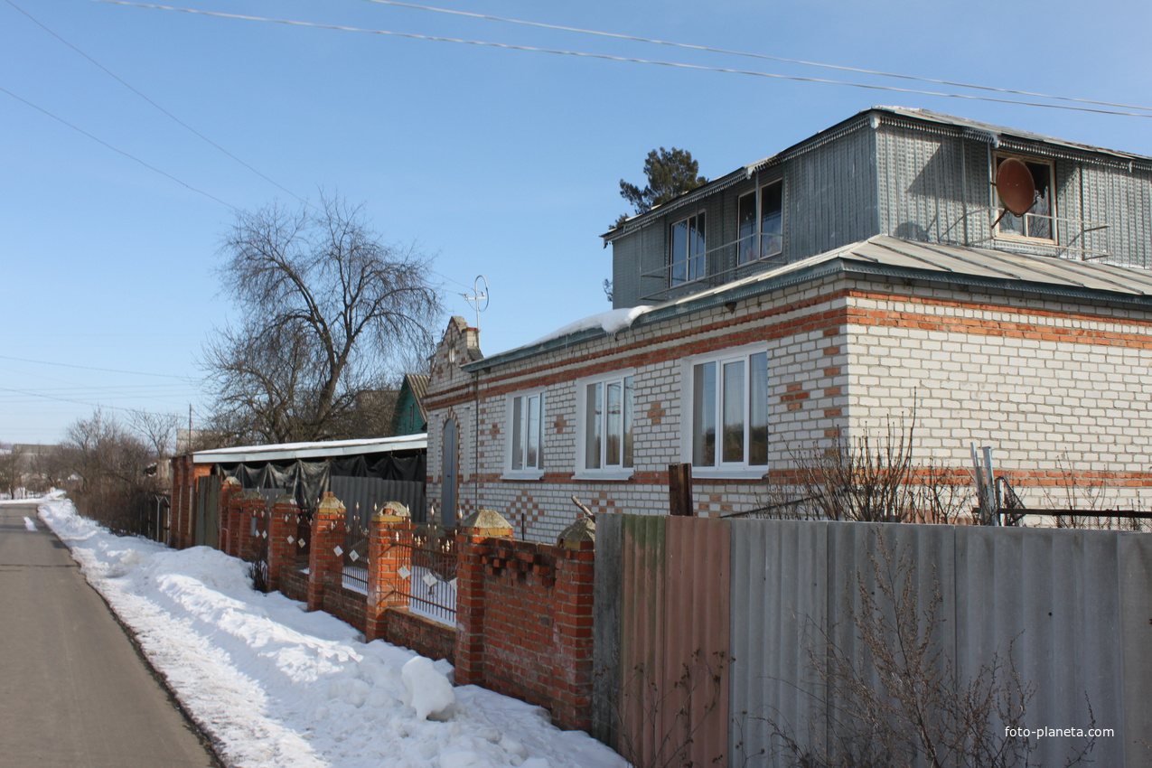 Шопино, ул. Дачная.