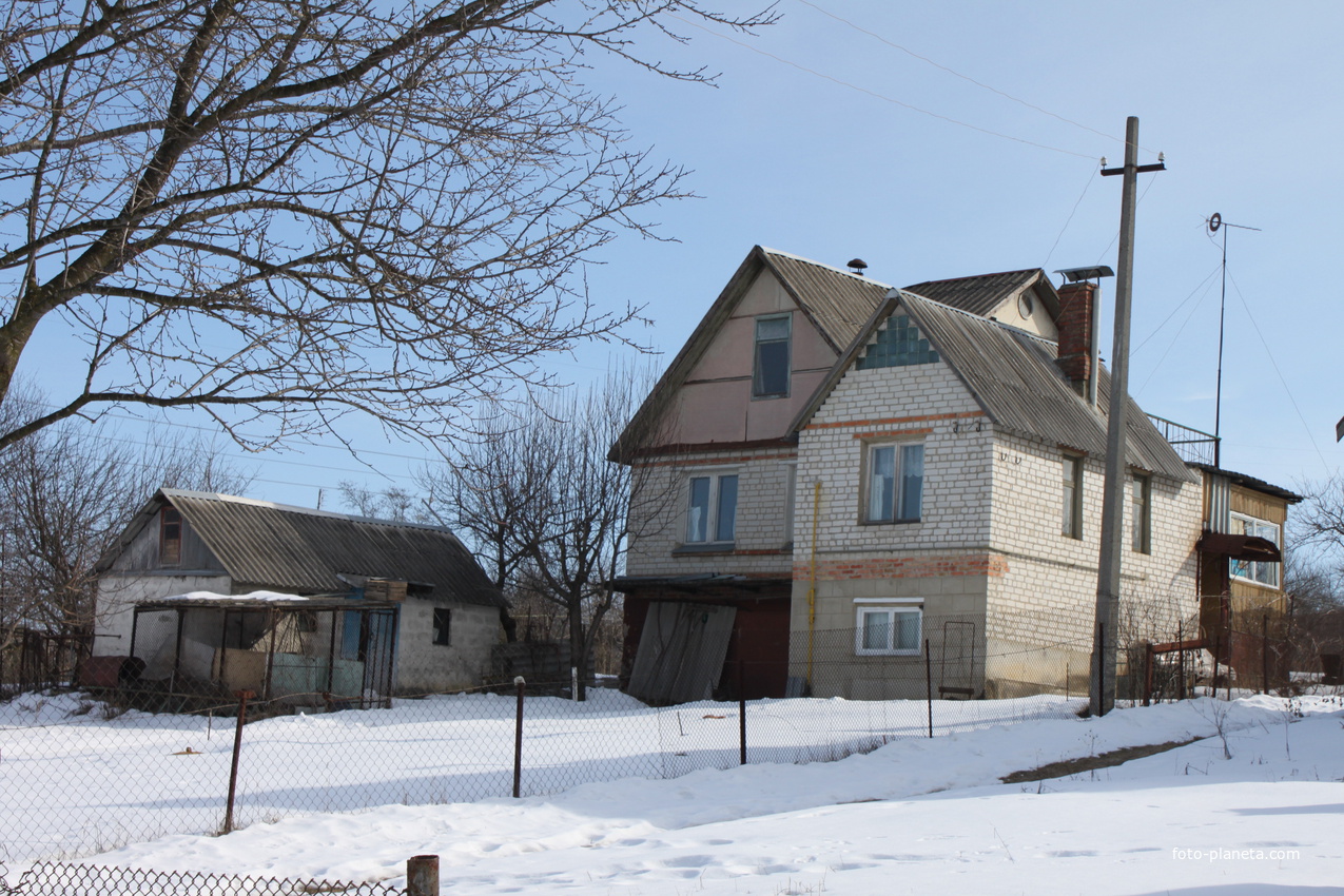 Шопино, ул. Дачная.