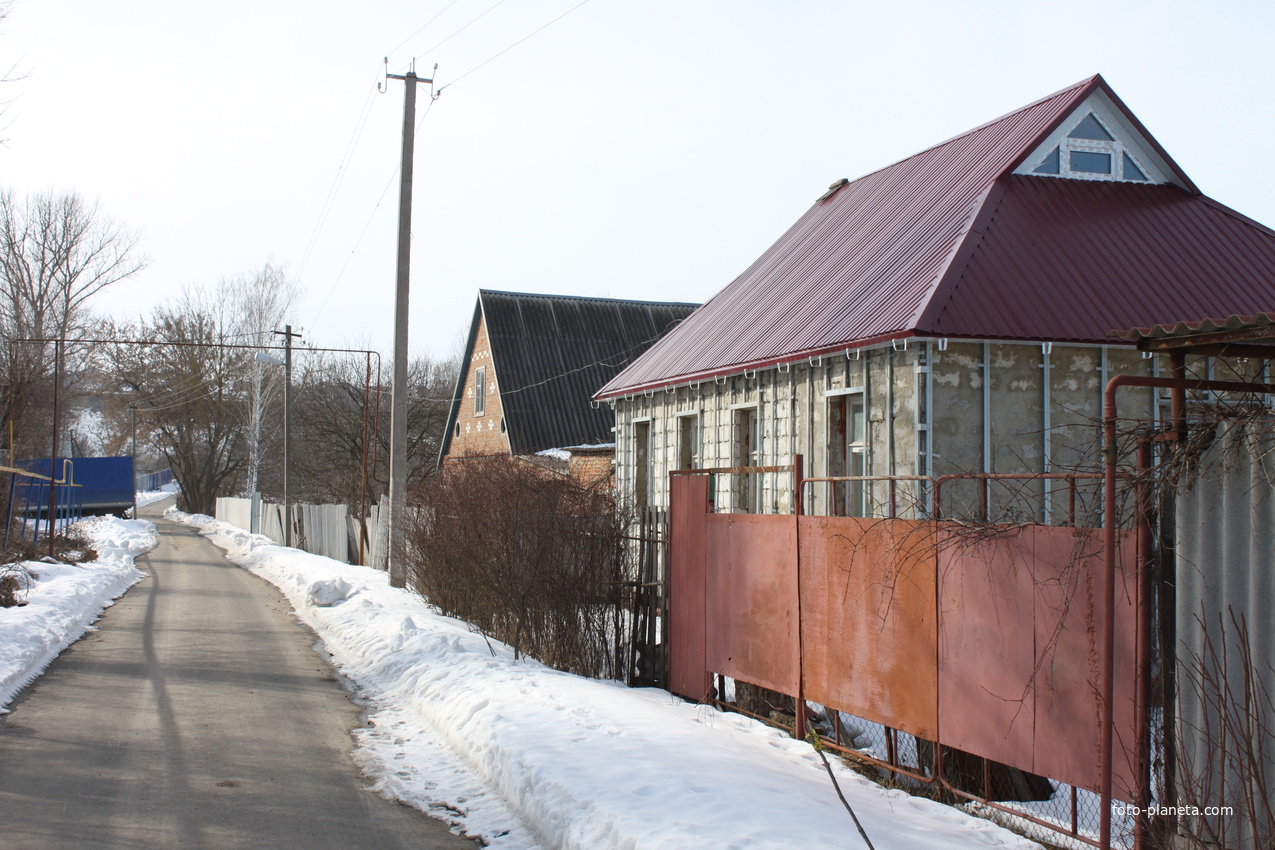 Шопино, ул. Дачная.