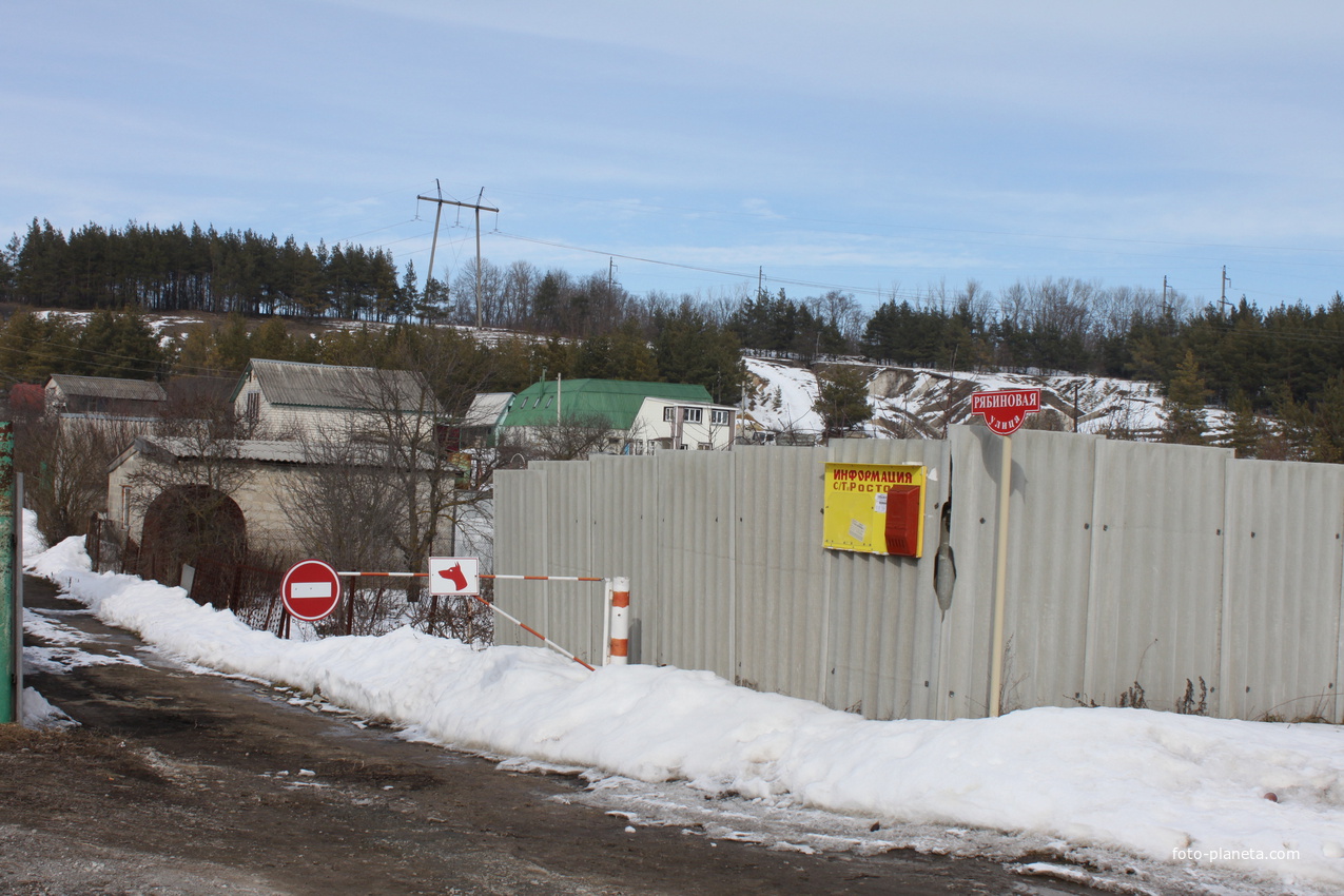 Шопино. Ул. Рябиновая.