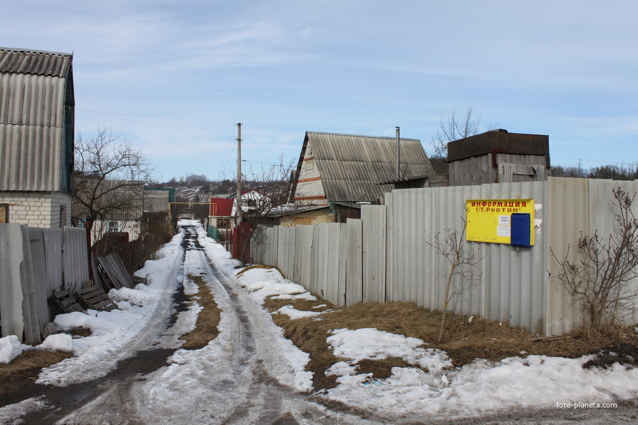 Шопино. Садовое товарищество &quot;Росток&quot;.