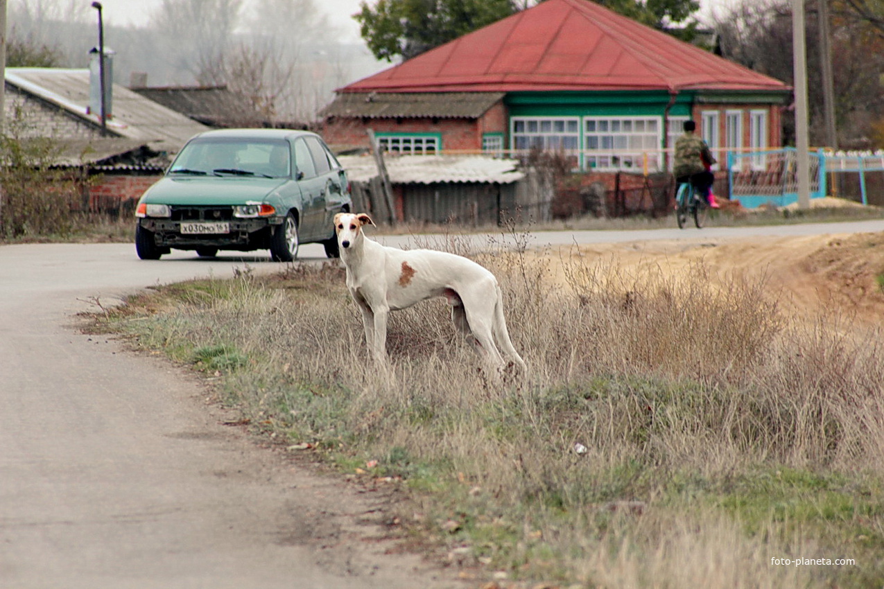 на центральной улице