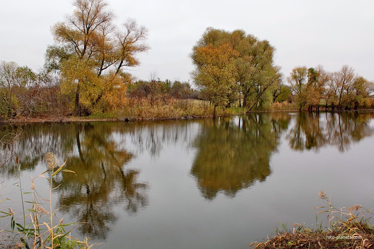 река Быстрая у хутора