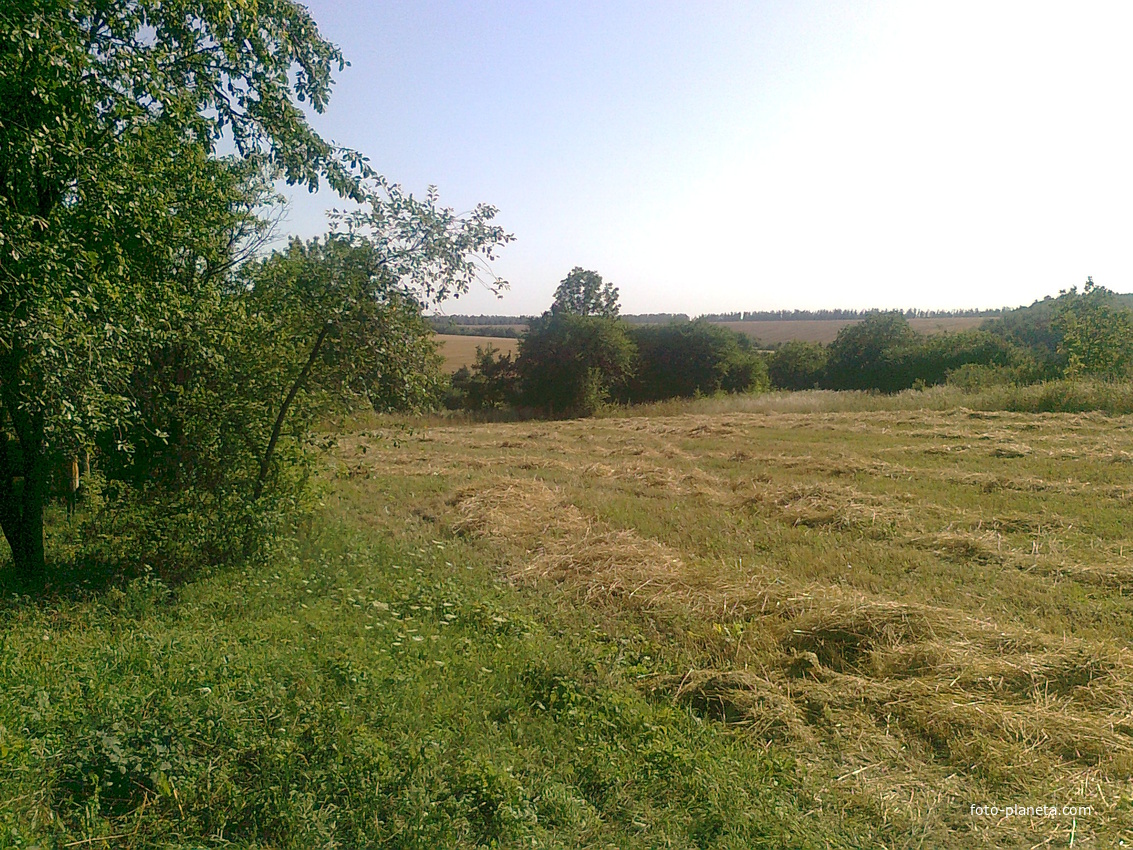 с.Байраковка Уборка урожая Вид на Иваськовое