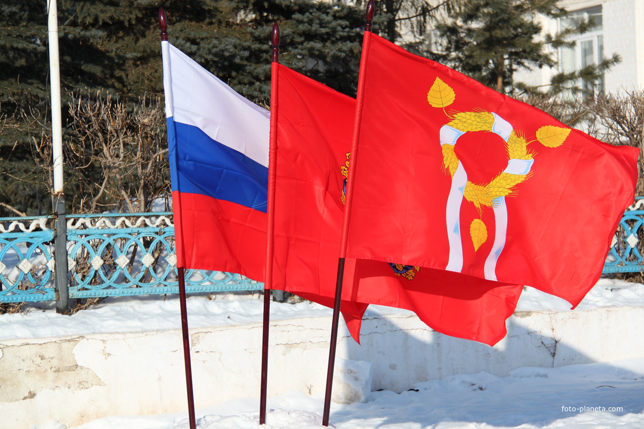 Флаг Александровского района