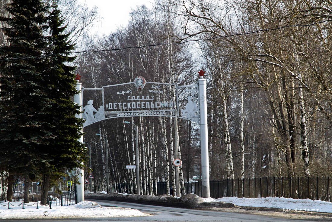 Въезд в Детскосельский