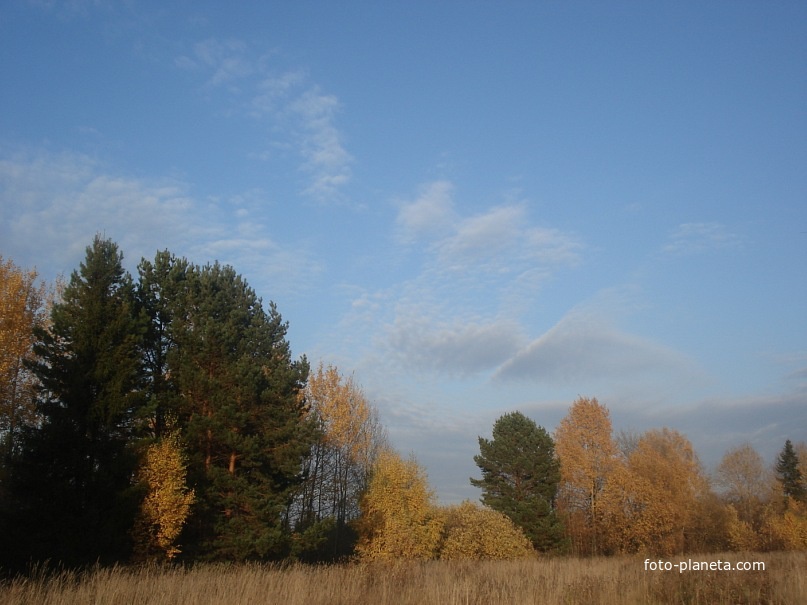 Верх-Рождество
