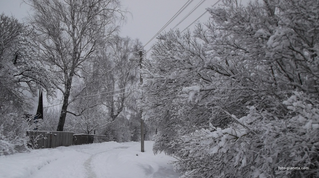 Зима  в  Бацевичах.  2013 г.