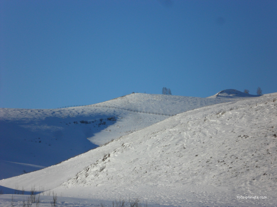 Солонешное