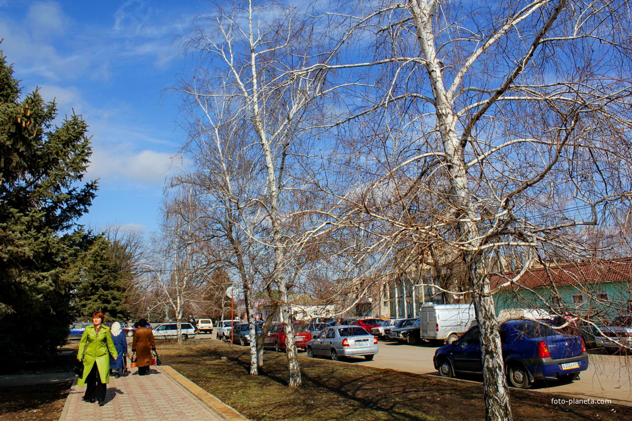 весна пришла (улица Герцена)