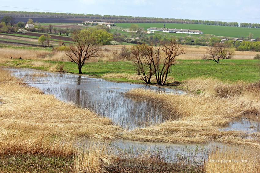 Де кінчається ставок