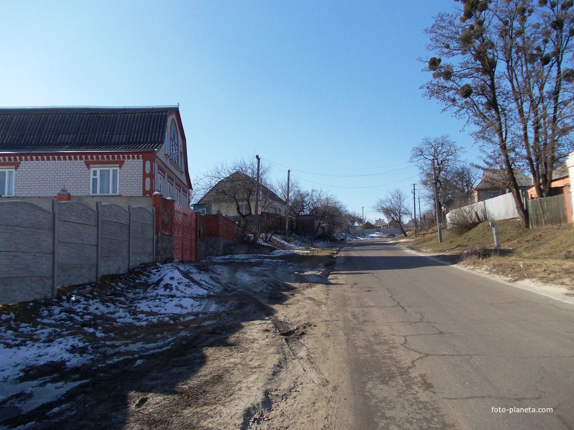 Улица Будённого.