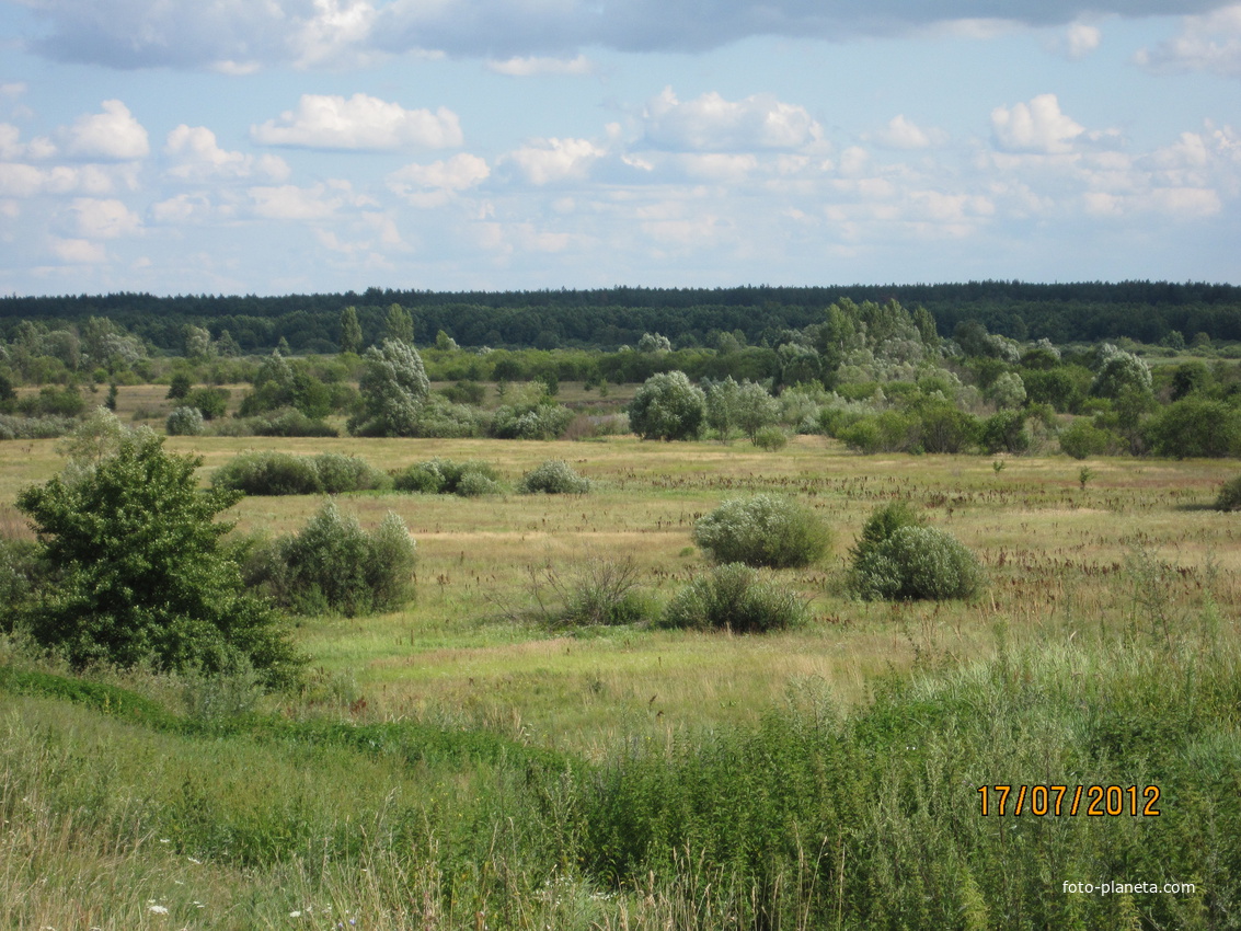 Пойма реки Тетерев